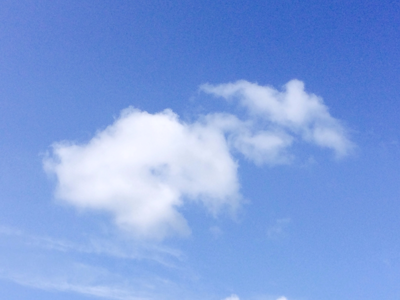 Illustration for article titled Can You See The Shapes Hiding In These Clouds?